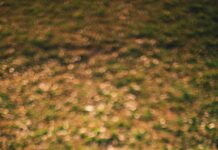 How can I bring traffic to affiliate links?