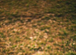 How can I bring traffic to affiliate links?