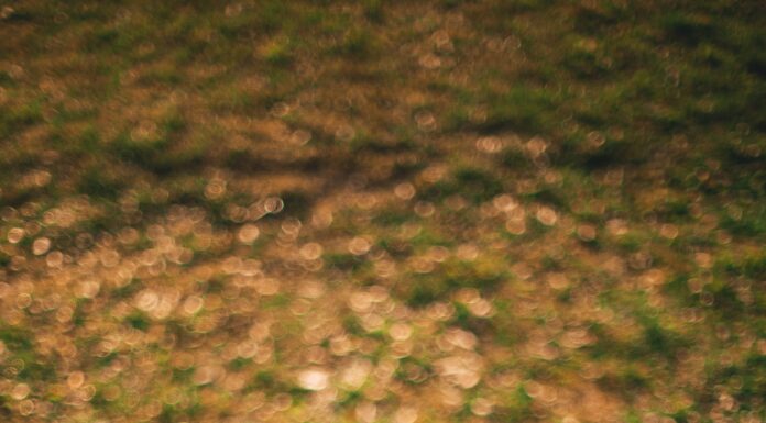 How can I bring traffic to affiliate links?